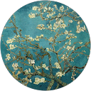 Xiaoyu Wei profile picture